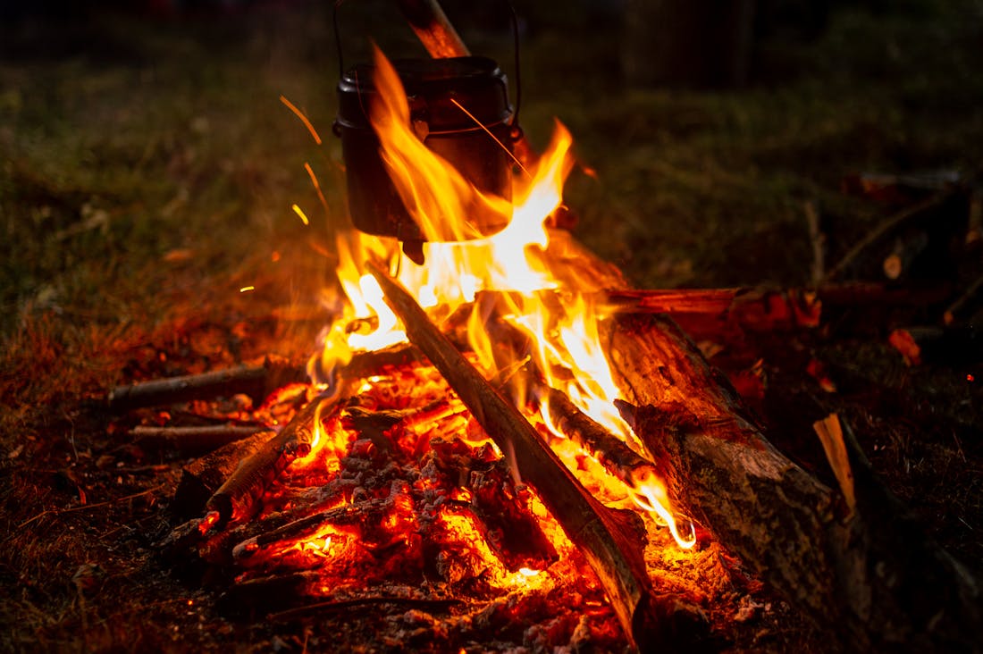 Choosing Eco-Friendly Travel: Sustainable Options for Conscious Explorers Image 2