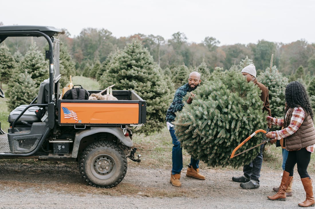 Comprehensive Car Care Techniques for Optimal Performance and Longevity Image 3