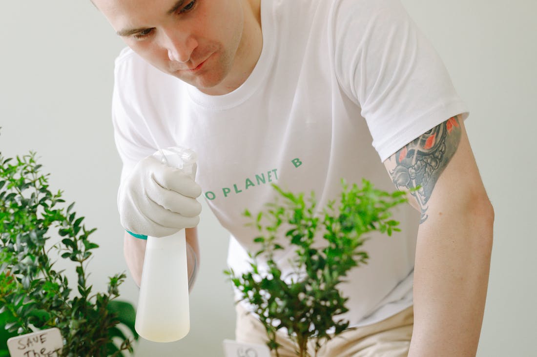 Comprehensive Guide to Sustainable Living Practices for Everyday Life Image 3