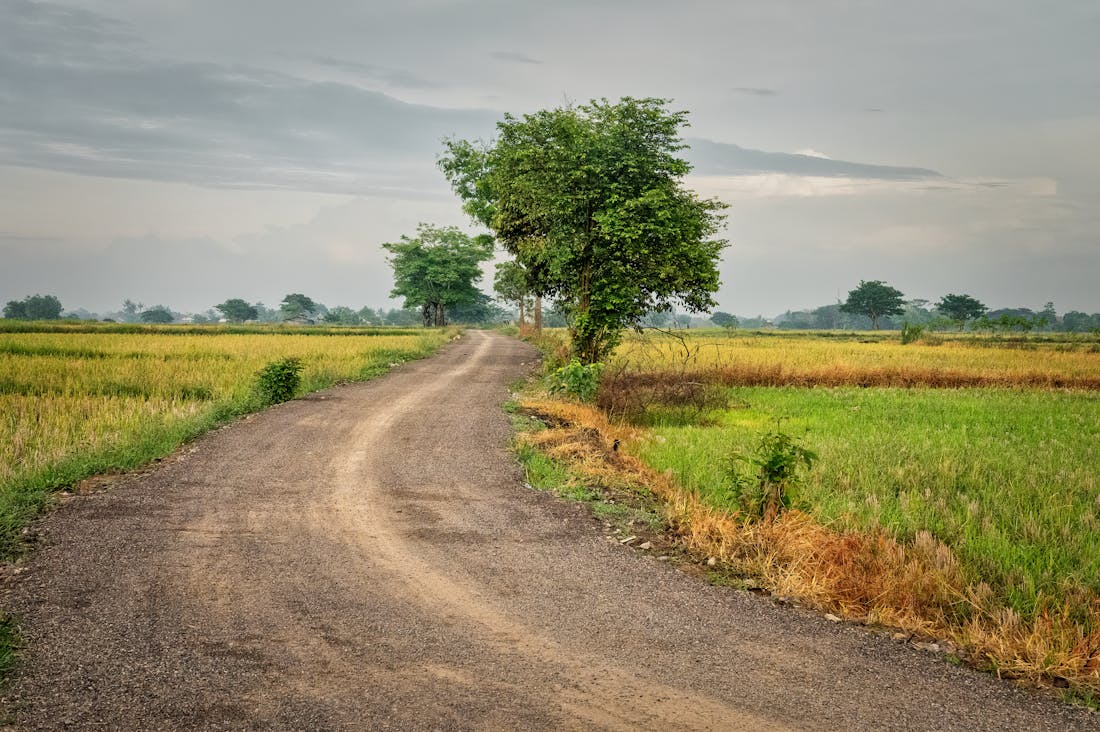 Comprehensive Guide to Sustainable Travel Practices for Eco-Conscious Travelers Image 2