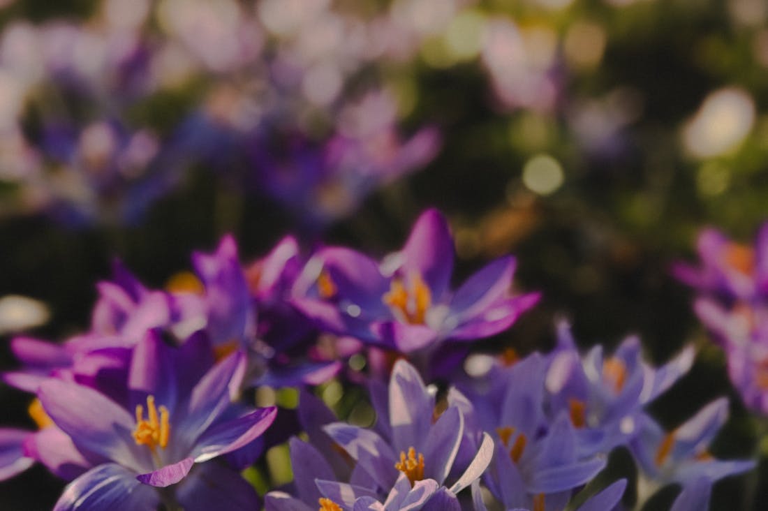 Consumer Trends Reshaping the Automotive Industry in 2023 Image 3