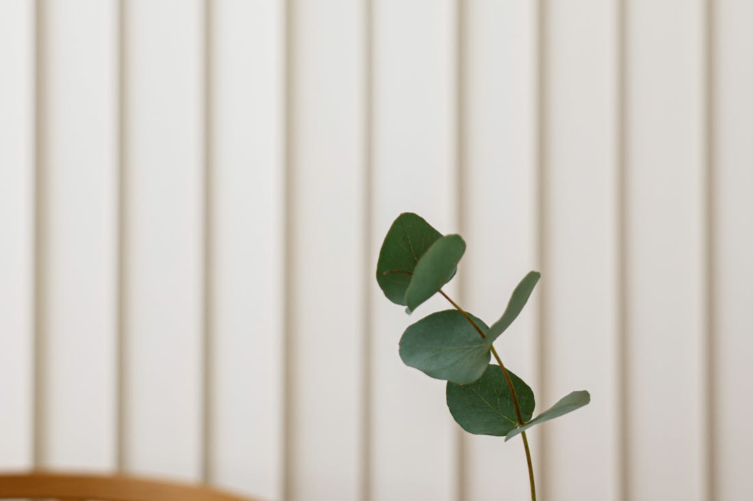 Crafting a Balanced Life: Integrating Work, Play, and Self-Care Image 3