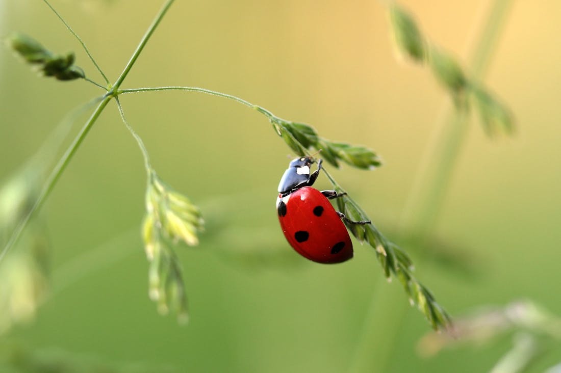 Crafting a Balanced Lifestyle: Integrating Work, Play, and Health Image 1