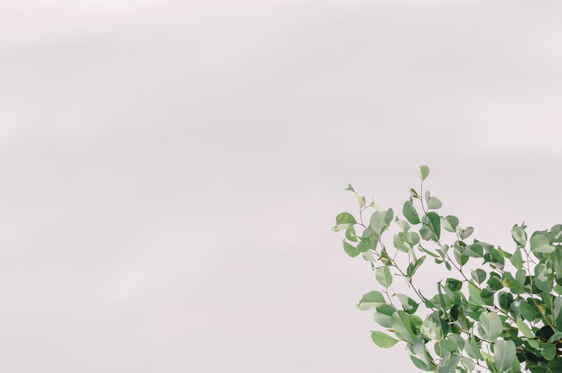 Crafting a Meaningful Lifestyle: Techniques for Personal Growth, Minimalism, and Sustainability Image 1