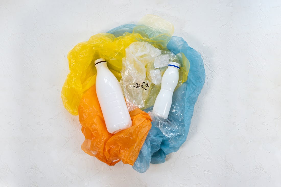 Crafting a Sustainable Lifestyle for a Greener Future Image 2