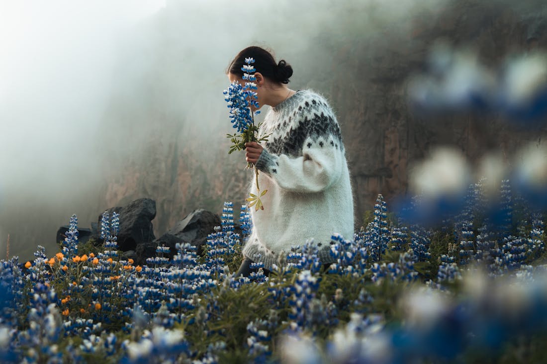 Crafting Memorable Travel Experiences for Every Season Image 1