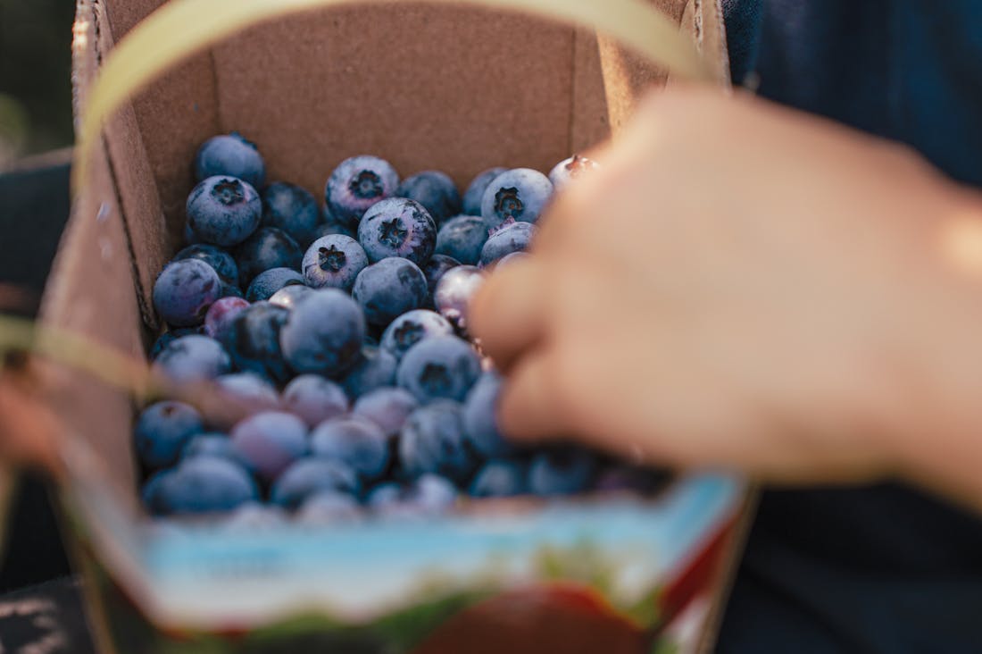 Crafting Sustainable Habits for a Healthier Lifestyle and Planet Image 1
