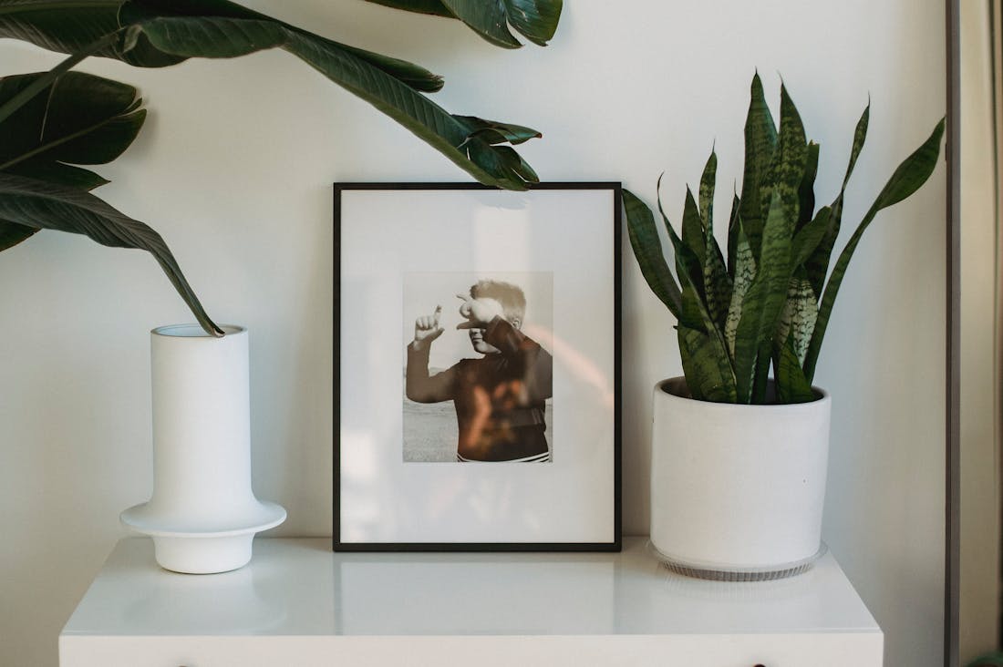 Creating a Sustainable Lifestyle: How to Incorporate Eco-Friendly Practices in Your Daily Routine Image 2
