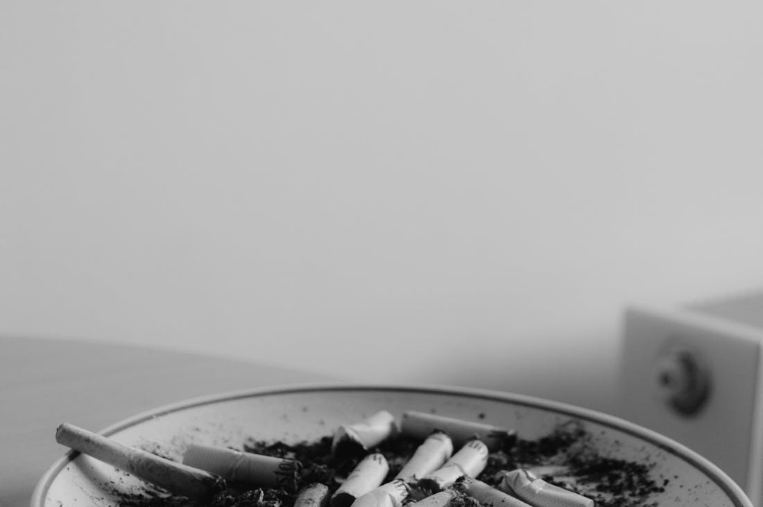 Creating Sustainable Practices for Modern Living Image 1