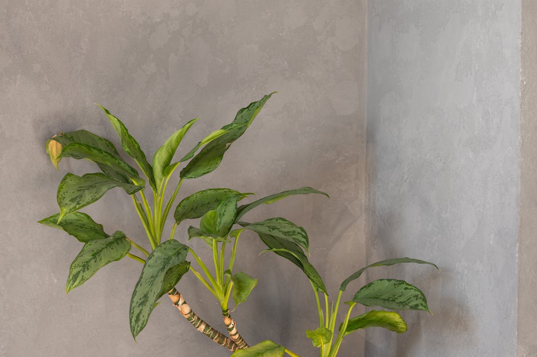 Creating Sustainable Travel Habits for Eco-Conscious Travelers Image 2