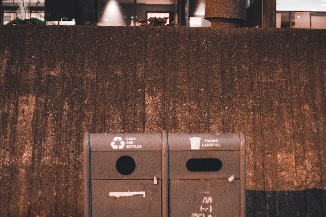 Creative Approaches to Sustainable Living for Today’s Consumers Image 3