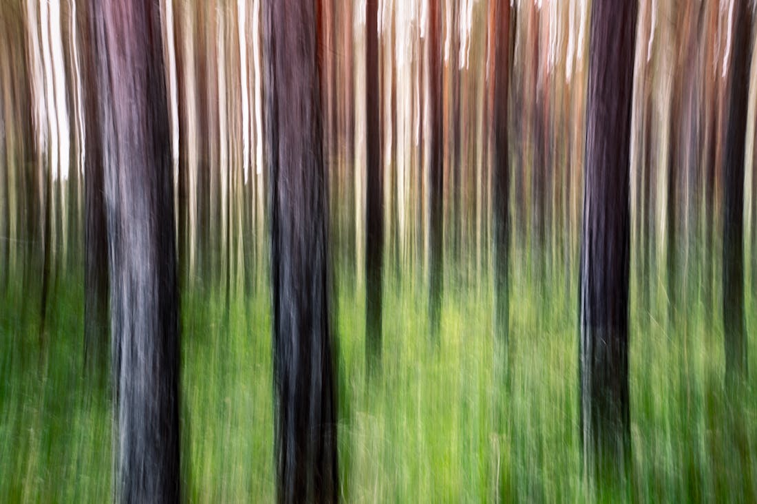 Creative Ways to Elevate Your Daily Lifestyle Experience Image 1