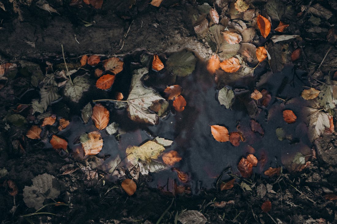 Creative Ways to Elevate Your Outdoor Adventures All Year Round Image 3