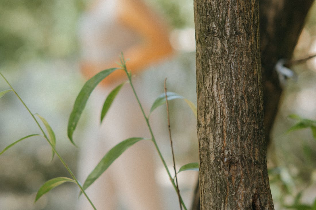 Cultivating a Joyful Lifestyle: Practices for Finding Happiness in Everyday Moments Image 2