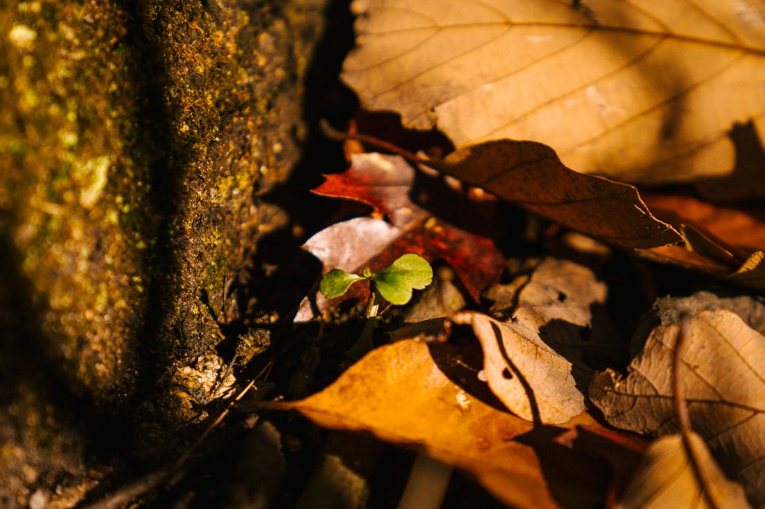 Cultivating a Productive Lifestyle: Key Habits to Implement Image 3
