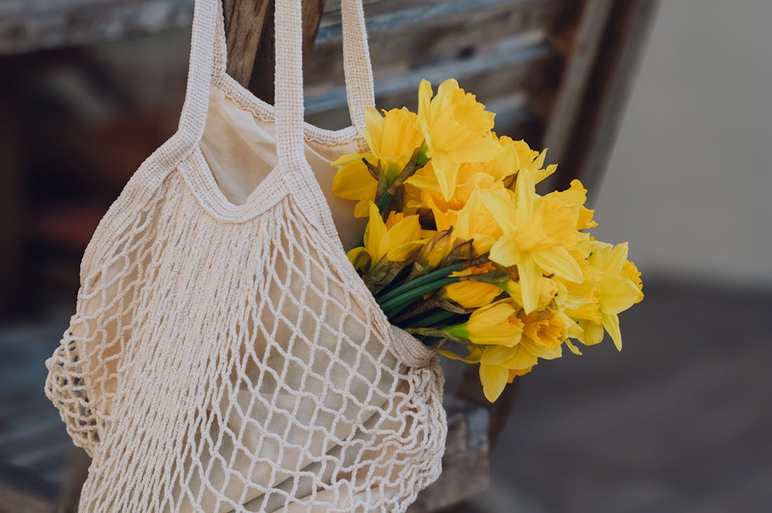 Cultivating a Sustainable Lifestyle: Practical Tips for Living Green Every Day Image 1