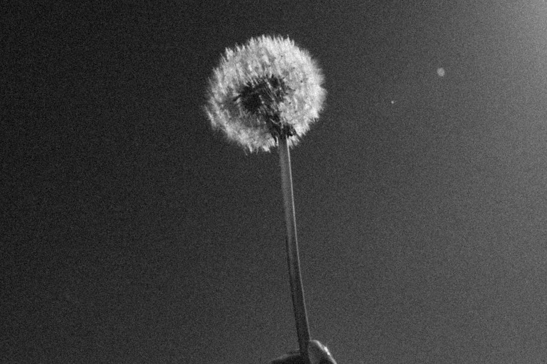 Cultivating Financial Intelligence: Making Smart Money Choices Image 3