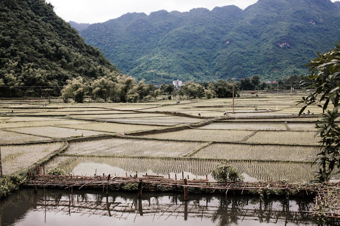 Cultivating Sustainable Travel: Experiencing the World While Preserving Our Planet for Future Generations Image 2