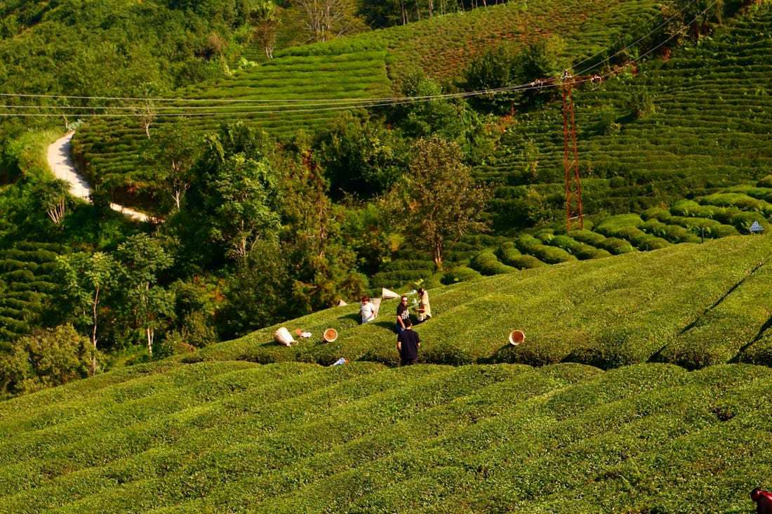 Curated Travel Experiences for the Modern Adventurer Image 3