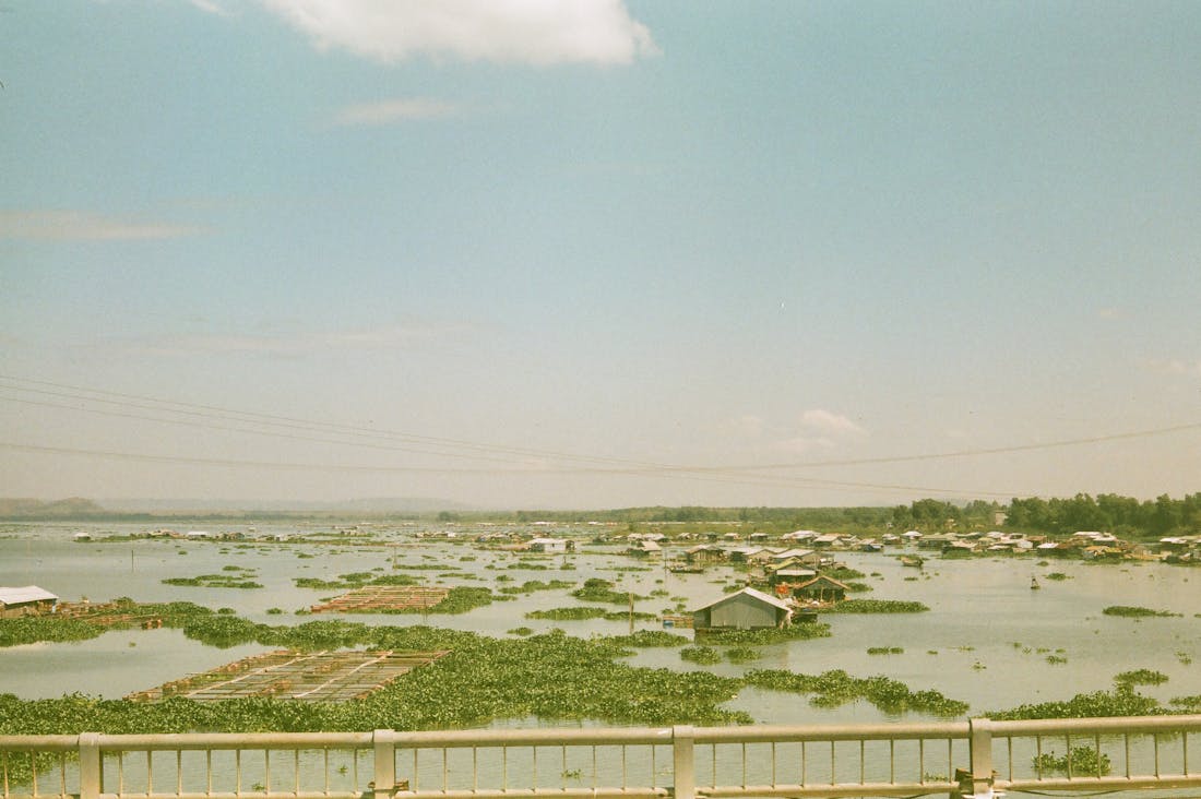 Current Trends in Sustainable Living: Making Eco-Friendly Choices Daily Image 3