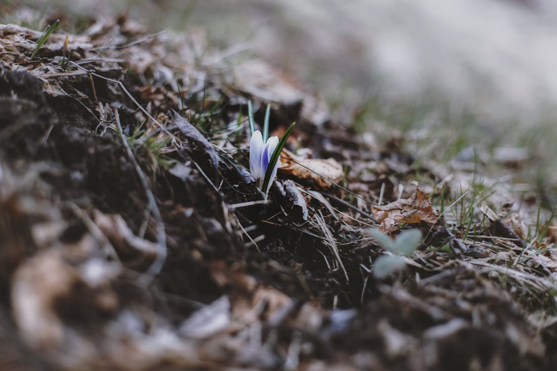 Decoding Modern Tech: How Emerging Technologies Are Shaping Our Future Image 1