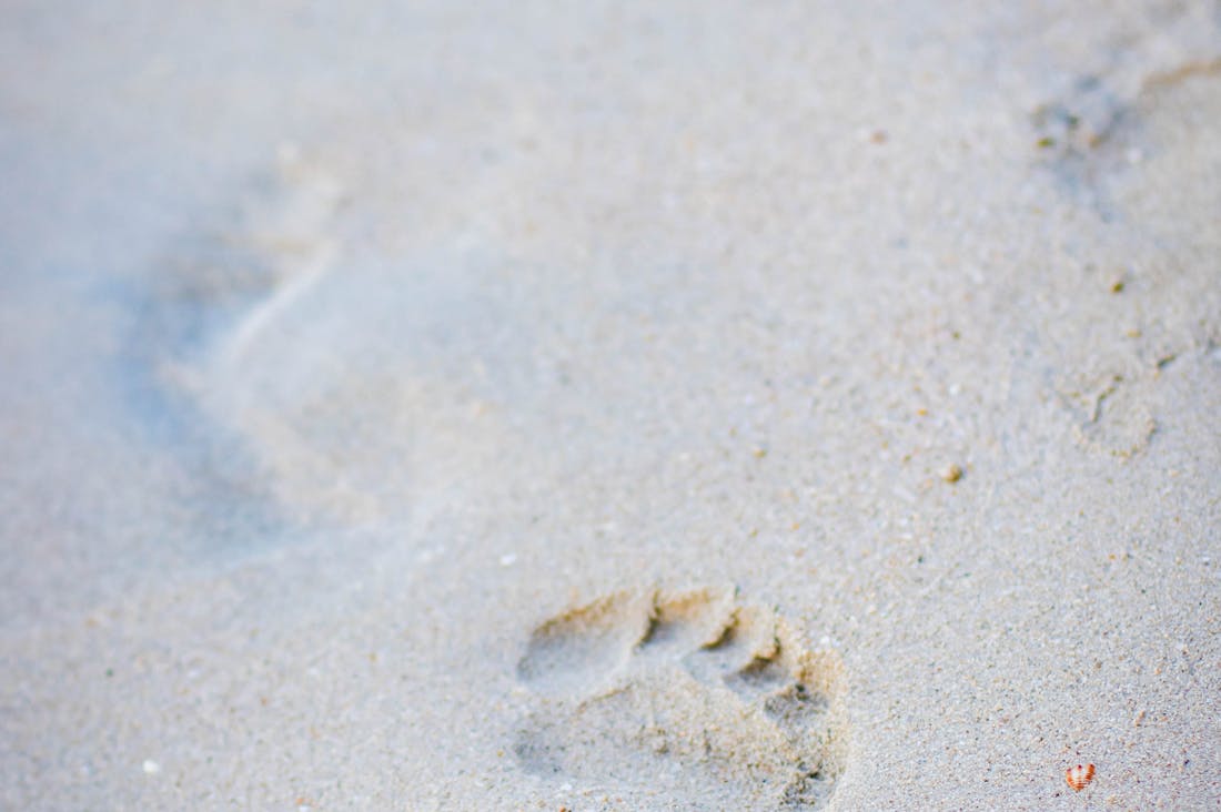 Demystifying Personal Finance: Essential Tips for Young Adults to Build a Strong Financial Future Image 3