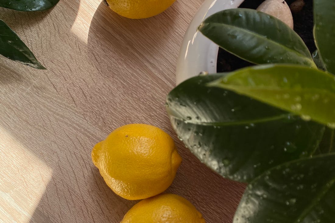 Digital Wellness: Balancing Technology Use and Mental Health in a Connected World Image 3