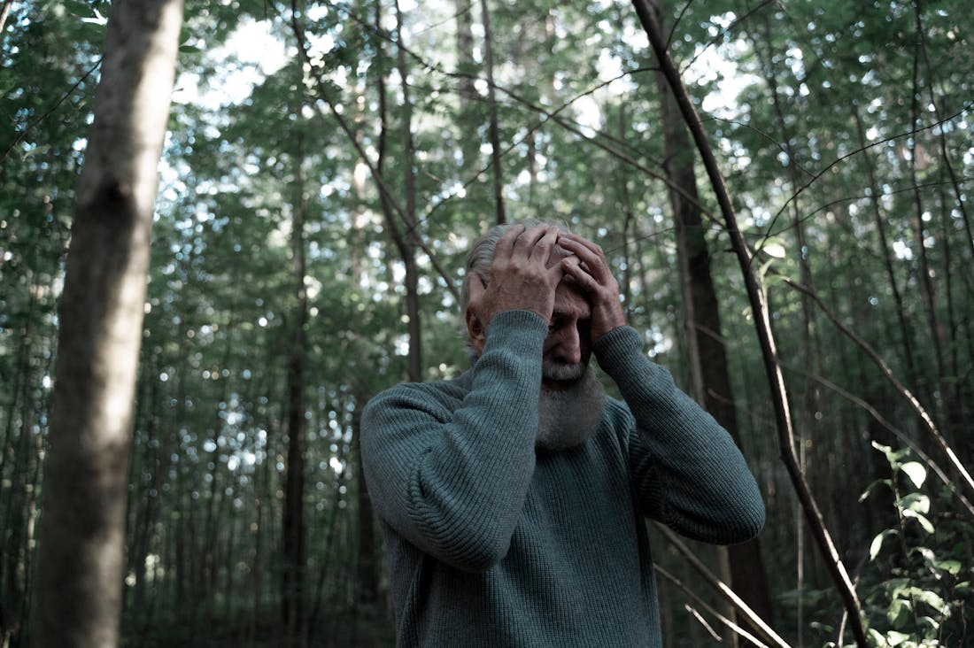 Discovering Mindfulness: A Journey to Emotional Health in a Distracted World Image 3