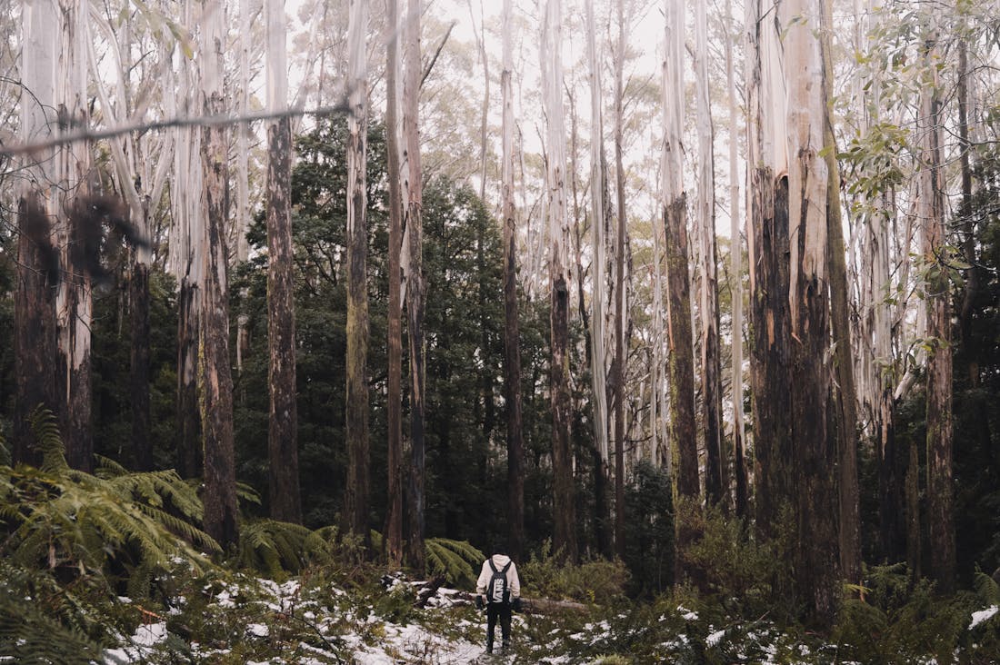 Discovering Sustainable Travel: How to Explore the World Mindfully and Responsibly Image 3