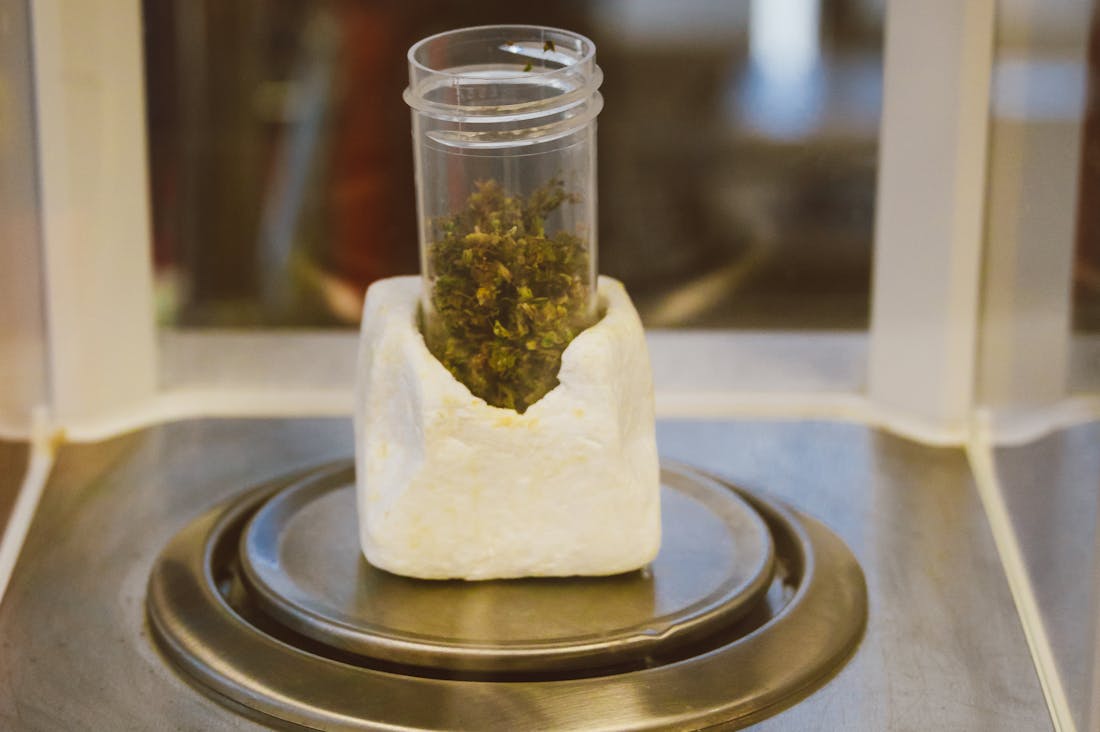 Discovering the Healing Power of Nature: A Deep Dive into Ecotherapy and Its Benefits for Mental Health Image 2