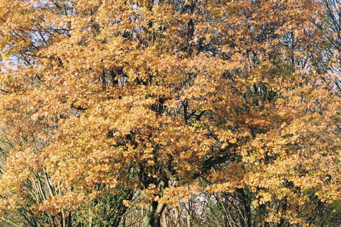 Discovering the Hidden Benefits of Daily Exercise for Mental Clarity and Physical Health Image 2