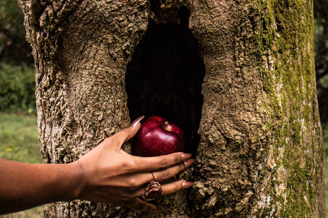 Discovering the Road Less Traveled: A Guide to Unique Travel Experiences Off the Beaten Path Image 2