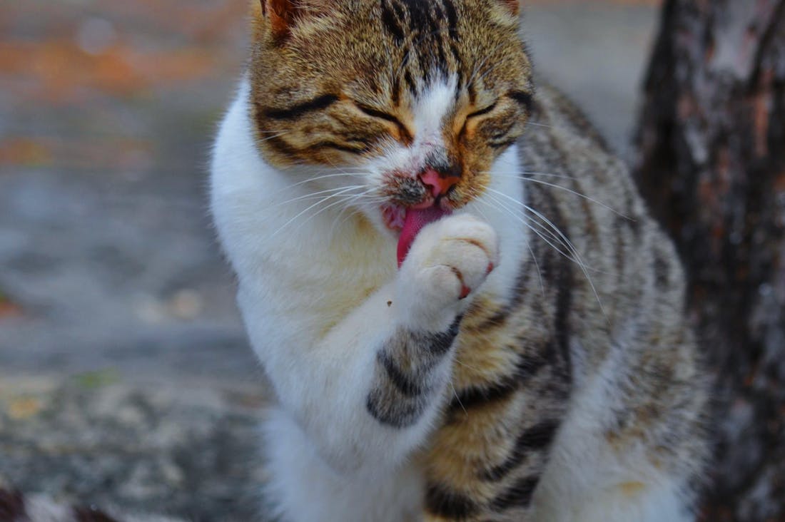 Driving Improvement Through Work-Life Balance Techniques Image 3