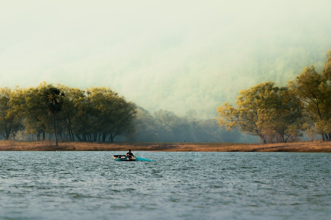 Driving Innovation: The Future of Electric Vehicles and Their Impact on Sustainable Travel Image 2