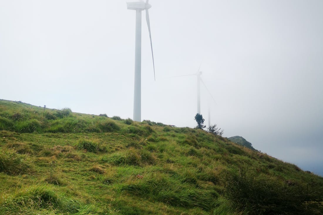 Driving into the Future: How Electric Vehicles are Reshaping the Auto Industry Image 2