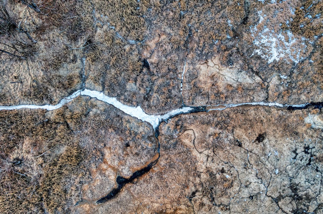 Driving Toward a Greener Future: How Electric Vehicles Are Revolutionizing the Auto Industry Image 2