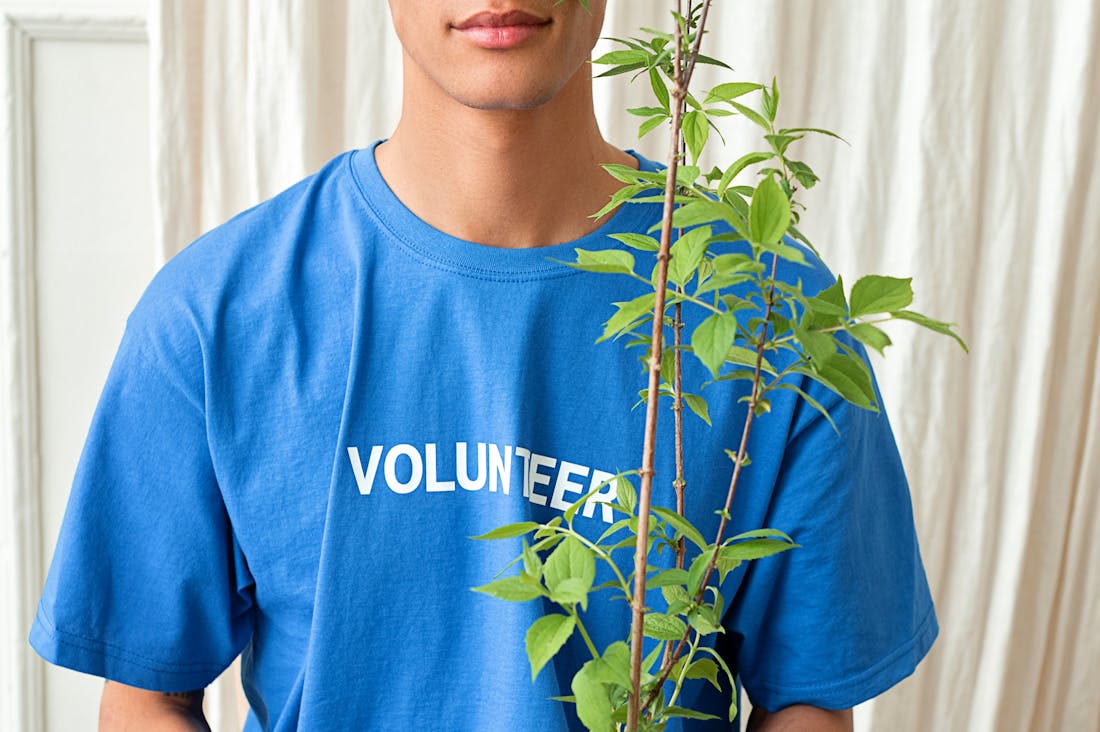 Driving Towards Sustainability: The Role of Eco-Friendly Vehicles in Our Green Future Image 3