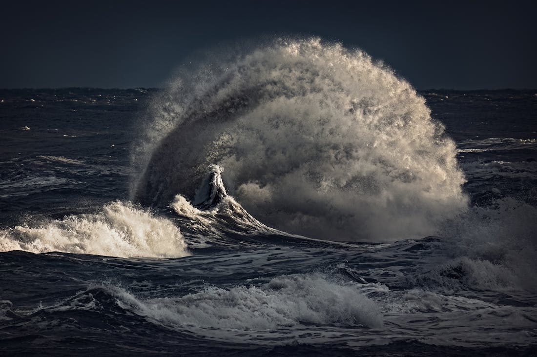 Dynamic Automotive Trends Revolutionizing Personal Transportation Image 3