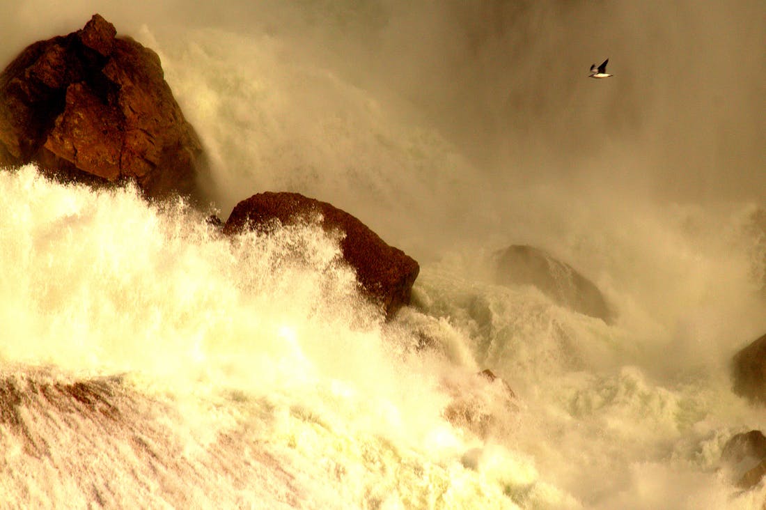 Eco-Conscious Driving: The Future of Sustainability in the Auto Industry Image 1