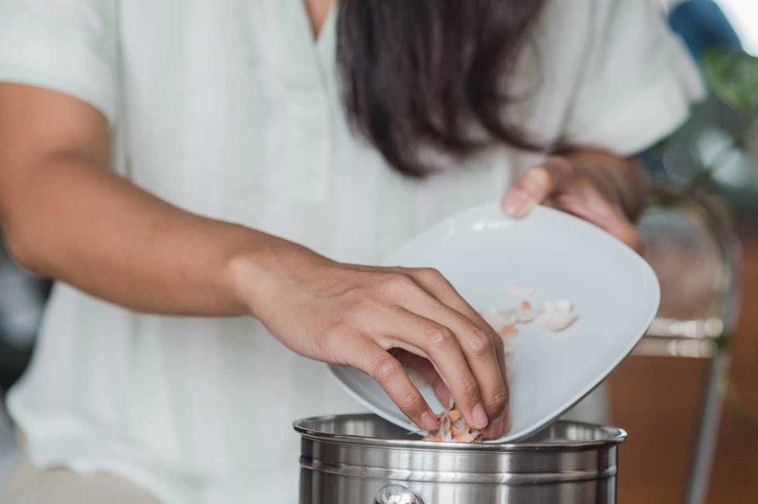 Eco-Conscious Living: Sustainable Lifestyle Choices for a Healthier Planet and Mind Image 2