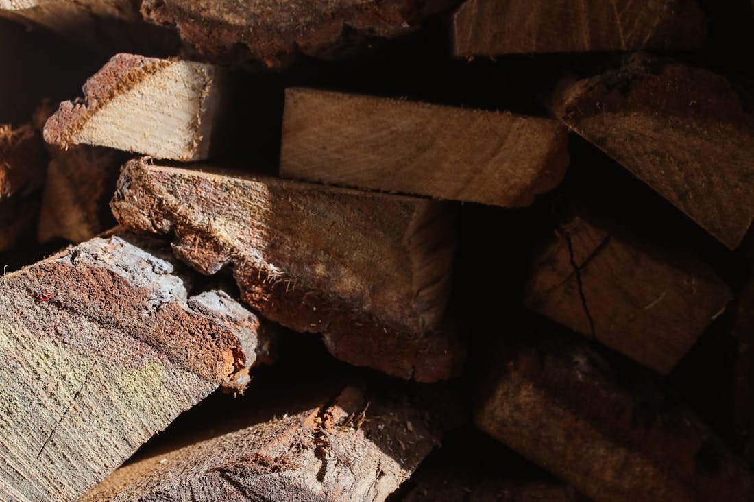 Eco-Friendly Choices in Automotive: Making Sustainable Decisions Image 2