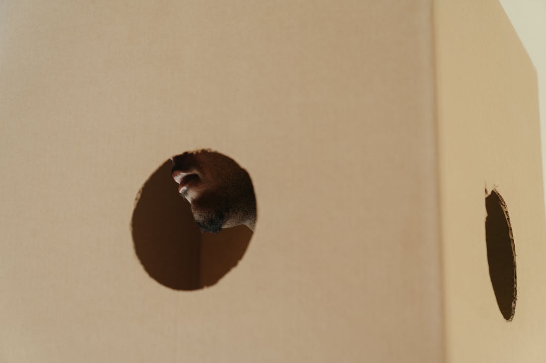 Eco-Friendly Living: Sustainable Practices for a Healthier Planet and Lifestyle Image 2