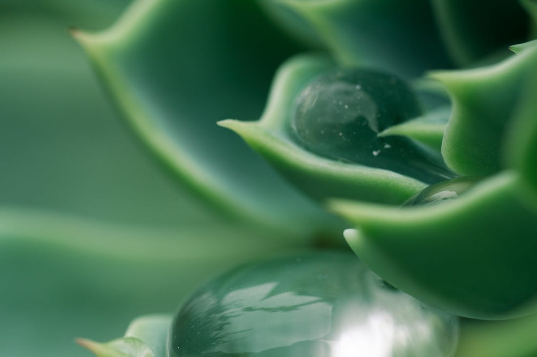 Eco-Friendly Practices for a Sustainable Lifestyle Image 1