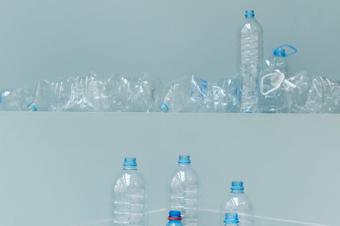 Eco-Friendly Practices to Incorporate into Daily Living Image 1