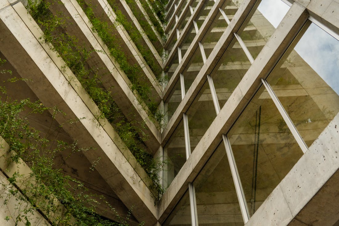Eco-Friendly Travel Destinations for Conscious Wanderers Image 1