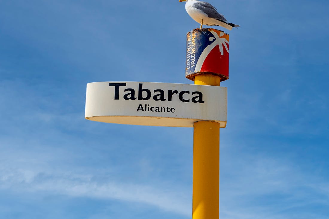 Eco-Friendly Travel: Making Sustainable Choices on Your Next Adventure Image 2