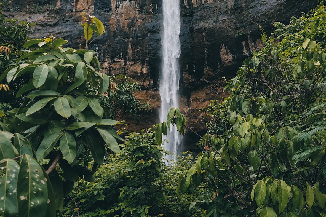 Eco-Friendly Travel Options for Conscientious Adventurers Image 3