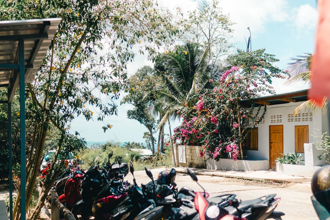 Eco-Friendly Travel Options Supporting Sustainable Tourism Image 3