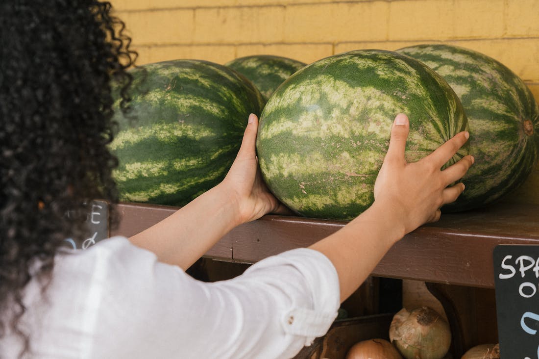 Eco-Friendly Travel Practices for Conscious Explorers Image 1