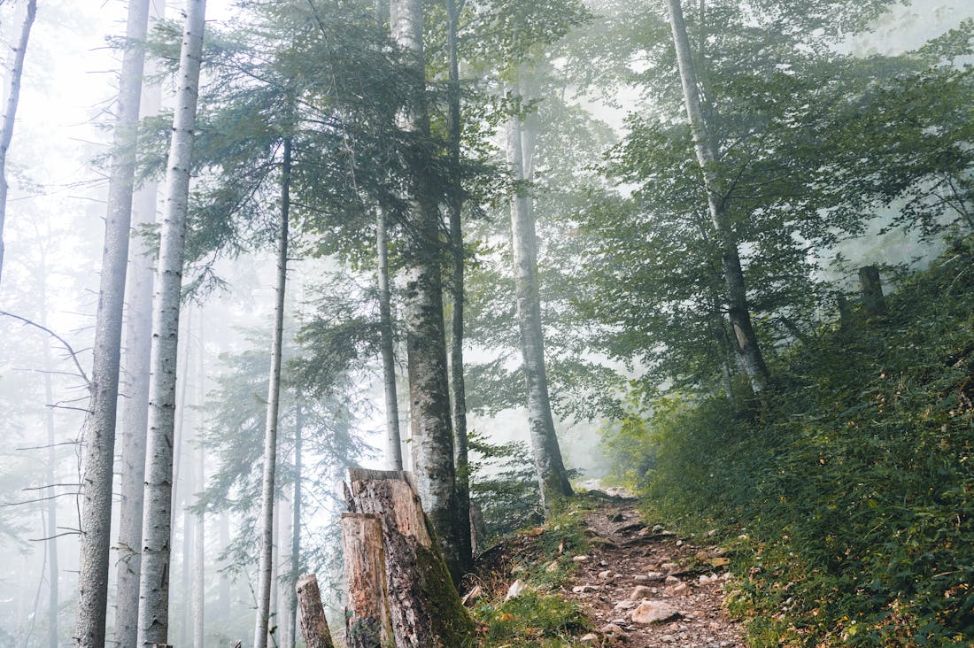 Eco-Friendly Travel: Sustainable Practices for Modern Explorers Image 2